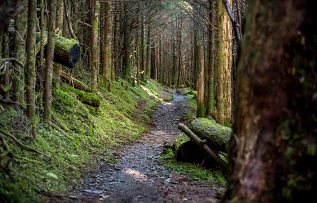 appalachian trail, spot x, trilha, chattahochee national forest, maine, nova york, thru-hikers