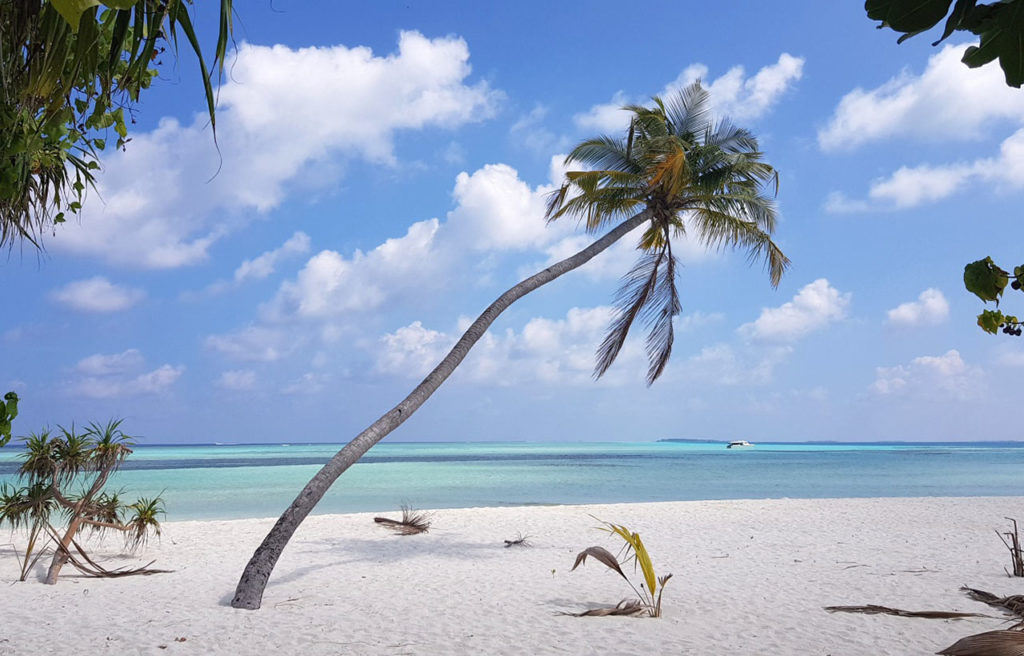 dhagenthi, maldivas, ilha dhigurah. turistas brasileiros, viagem, praia paradisíaca, dicas, hospedagem, praia paradisíaca