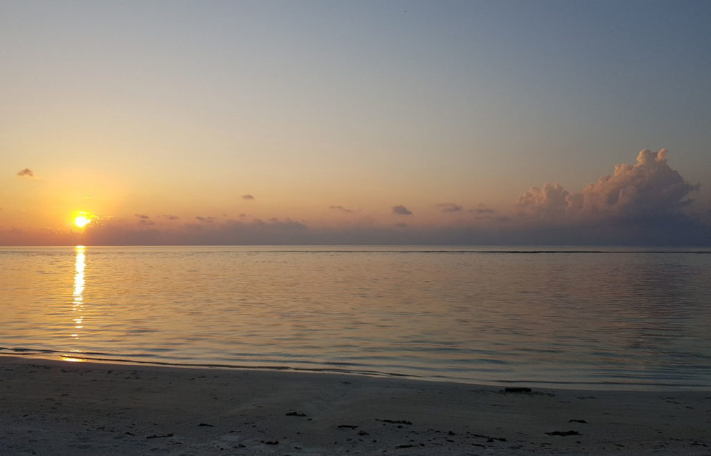 dhagenthi, maldivas, viagem, praia paradisíaca, dicas, água cristalina, pôr do sol, mergulho