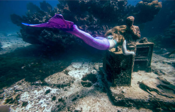 Karina Oliani museu subacuatico mexico tubaroes
