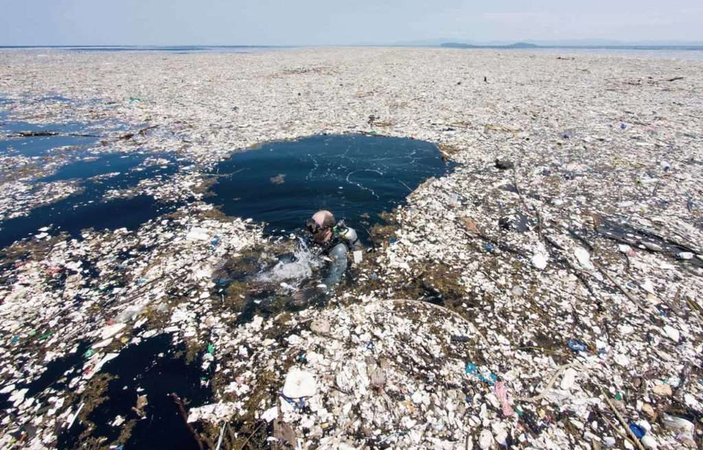 ilha de lixo, plastico, oceano pacifico, grande porção de lixo do pacifico, great pacific garbage patch, karina oliani