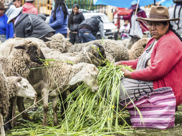 A Feira de Compone Terra Adentro Cultura Peruana SPOT Blog