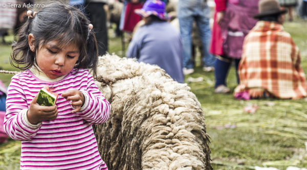 Menina na Feira de Compone Terra Adentro Cultura Peruana SPOT Blog