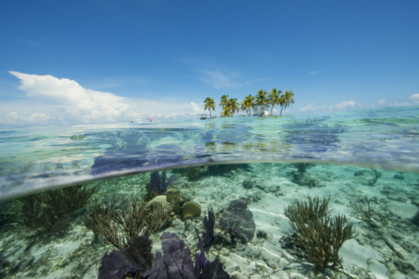 karina oliani viagem turismo belize caribe america central mergulho praia aventura natureza