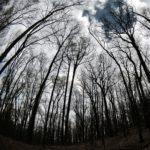 maior trilha do mundo appalachian trail