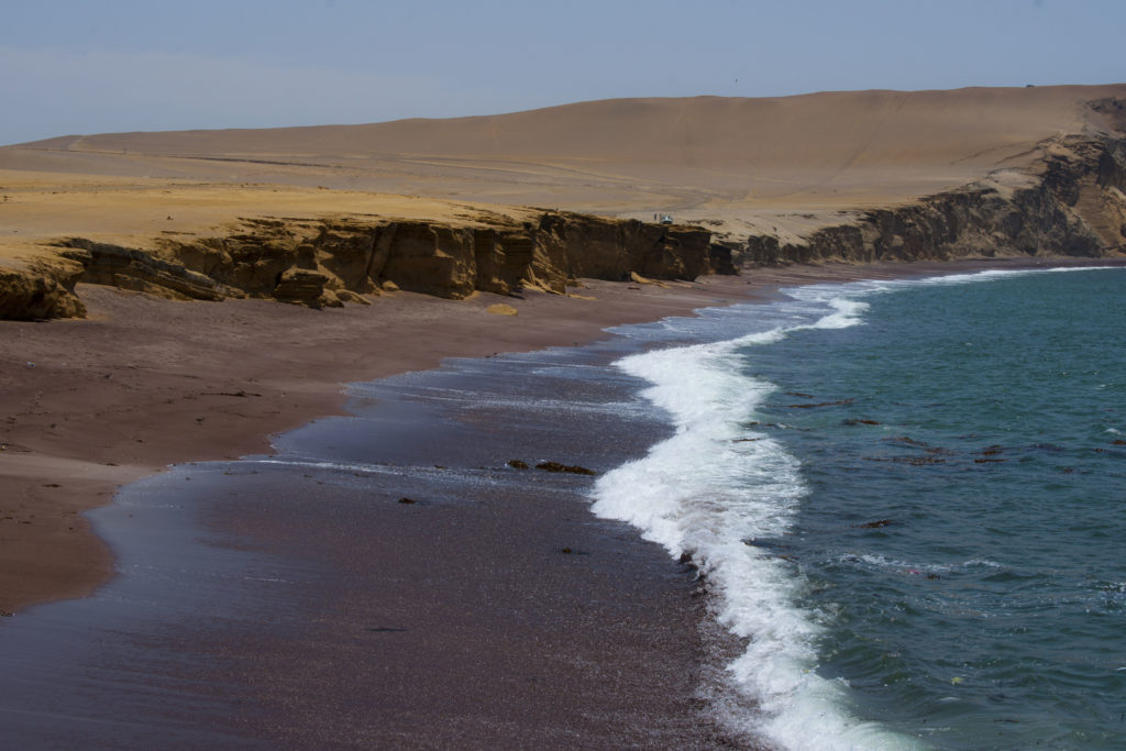 Peru Paracas reserva natural