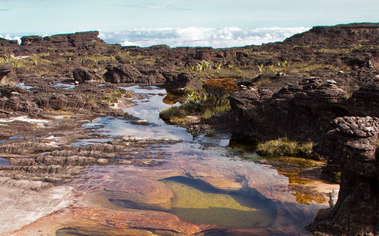 Nattrip Guia Monte Roraima 05