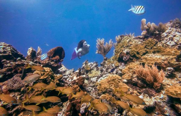 Karina Oliani tubaroes mexico riviera maia viagem