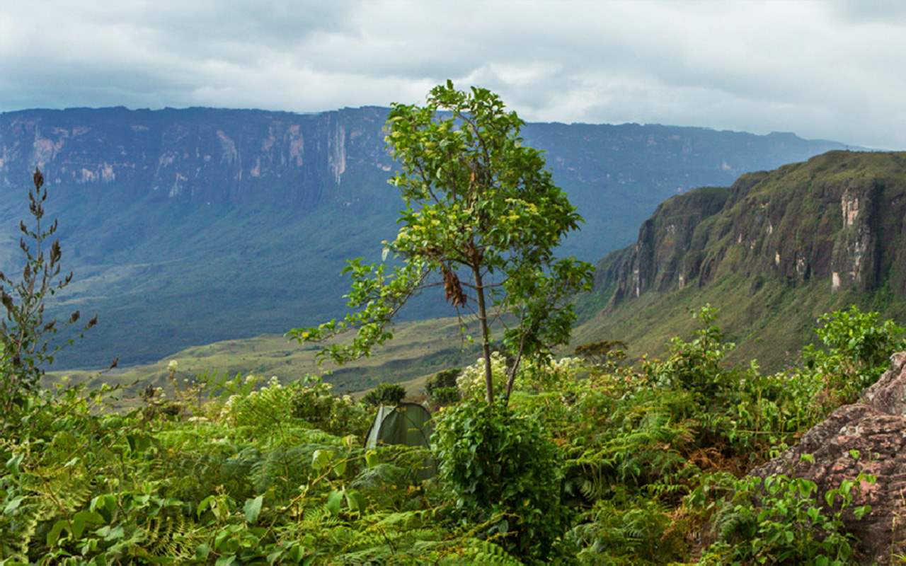 Nattrip Guia Monte Roraima 04