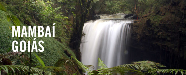 MAMBAI GOIAS BRASIL