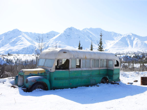 into the wild na natureza selvagem