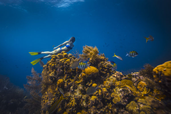 karina oliani viagem turismo belize caribe america central mergulho praia aventura natureza