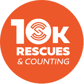 10K Rescues & Counting