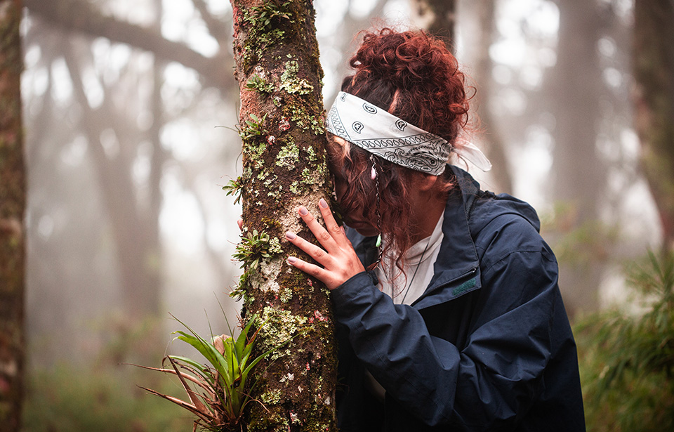 Banho de Floresta: reconexão com a natureza e novas formas de estar ao ar livre