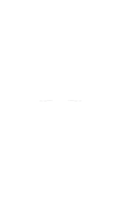 SPOT Global Phone